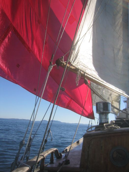 gal/New Boat/IMG_3836.jpg
